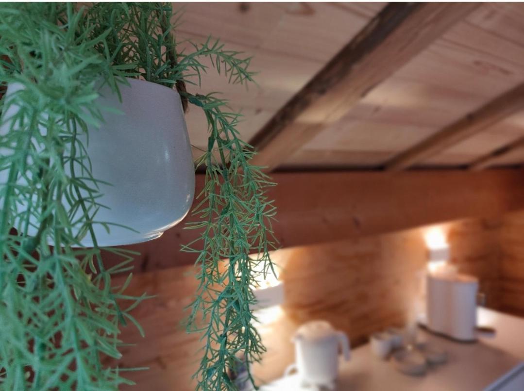 Chambre Boille A Lait Entremont 외부 사진