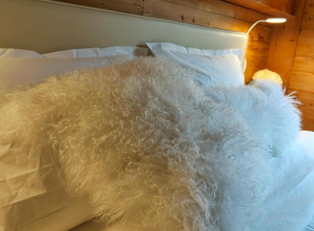 Chambre Boille A Lait Entremont 외부 사진